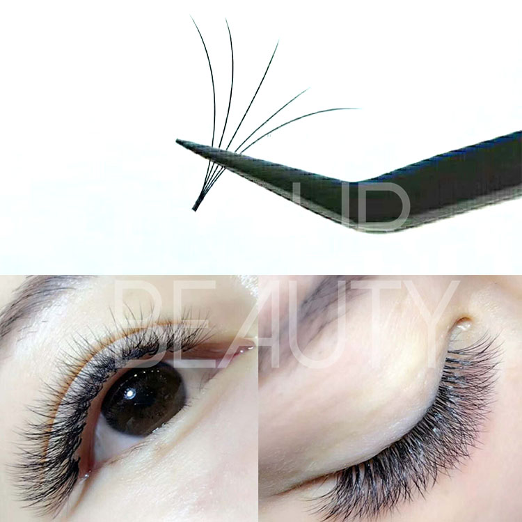 Lash plus new matte Camellia lash extensions OEM manufacturer EL40 